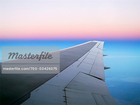 Airplane Wing in Flight