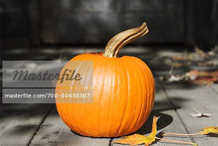 Pumpkin on Porch