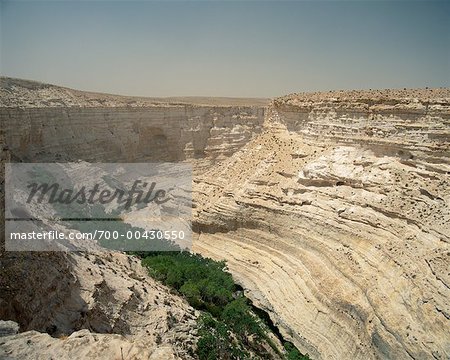 Negev Desert, Israel