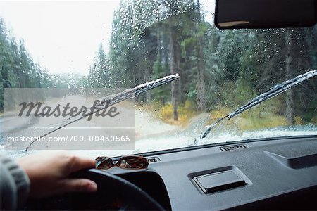 Person Driving in the Rain
