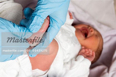 Newborn Baby Getting Blood Test