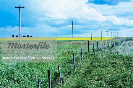 Field in the Country, Alberta, Canada