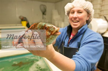 Vorbereiten der Fische für den Versand