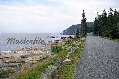 Entlang der Küste, Acadia-Nationalpark, Maine, USA