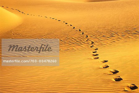 Empreintes de pas dans le désert