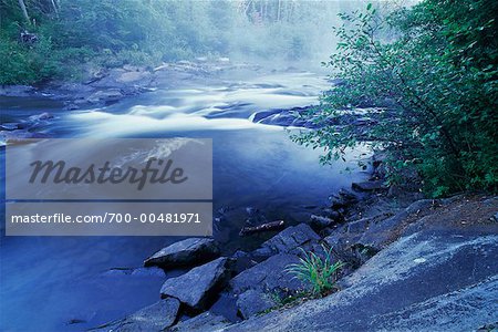 Oxtongue River, le Parc Provincial Algonquin, Ontario, Canada