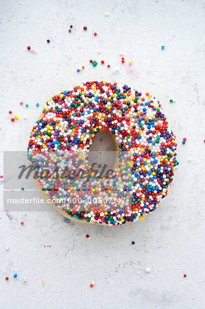 Sprinkle Doughnut