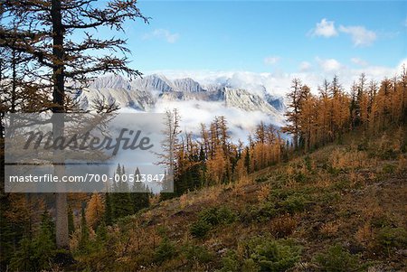 Mountain Range and Clouds. Kananaskis Country, Alberta, Canada