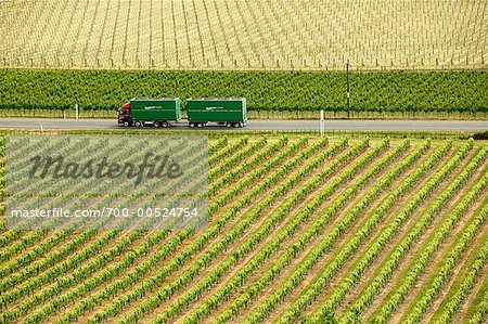 Vignobles, Esk Valley, Bay, Nouvelle-Zélande Hawke