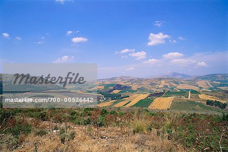 Overview of Farmland, Segesta, Sicily, Italy