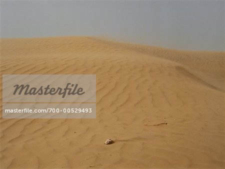 Sandsturm in der Wüste, Rajasthan, Indien