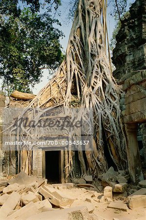 Ta Prohm Temple, Angkor Wat, Cambodia