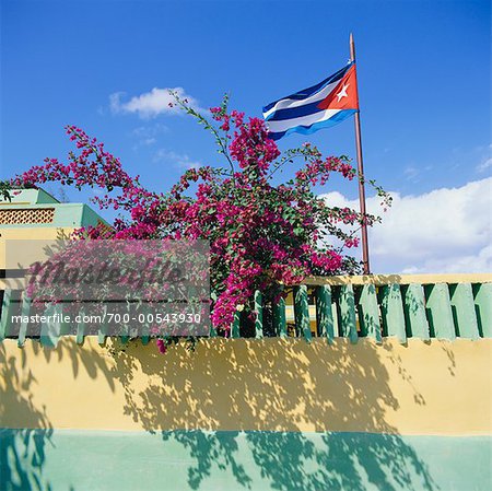 Un drapeau et arbuste sur mur de Varadero, Cuba