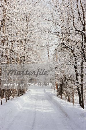 Schneebedeckte Straße, Quebec, Kanada