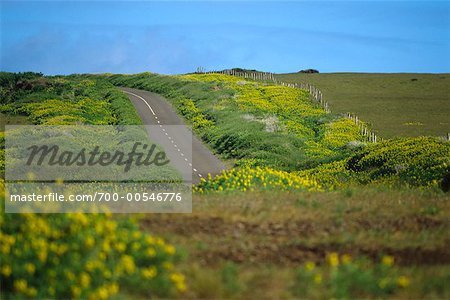 Empty Road, Easter Island, Chile