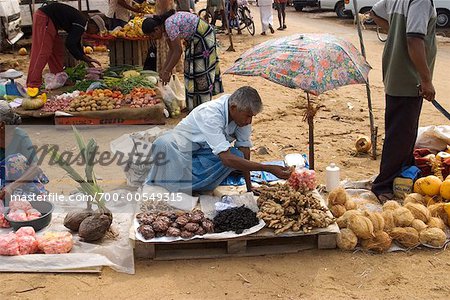 Nos gens au marché, Negombo, Sri Lanka
