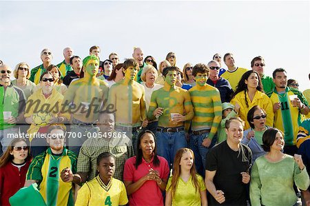 Crowd at Sporting Event