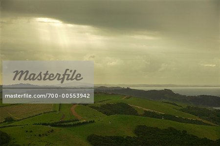 Ackerland, gesehen vom steinigen Teig, Waiheke Island, Neuseeland