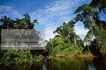 Bassin de l'Amazone, en Équateur