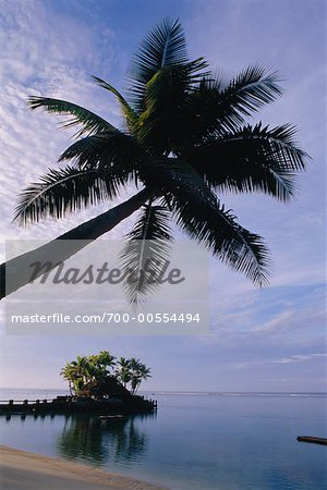 Restaurant Walu méchants, Warwick Fiji Hotel, Coral Coast, Viti Levu, Fidji