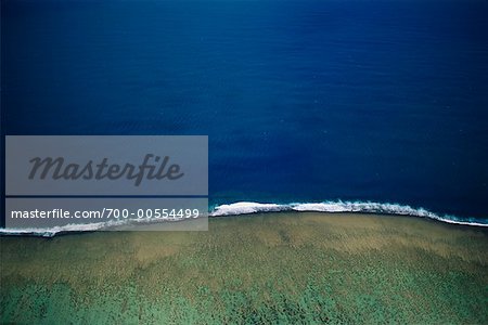 Aerial View of Beach, Viti Levu, Fiji