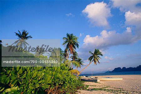 Tropical Beach, El Nido, Palawan, Philippinen