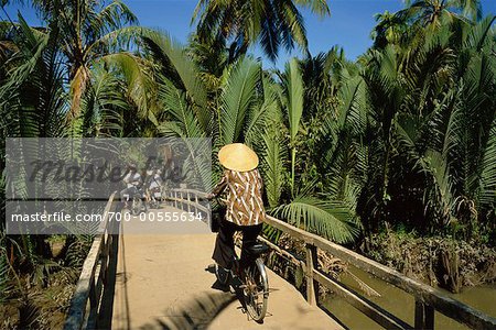 Personnes circonscription vélos partout au pont, My Tho, Vietnam