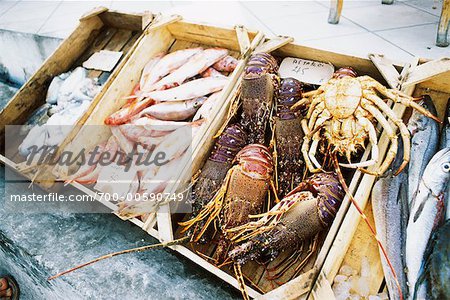 Meeresfrüchte für Verkauf, Oia, Santorini, Griechenland