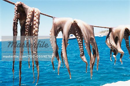 Octopus Drying in Sun, Naxos Island, Greece