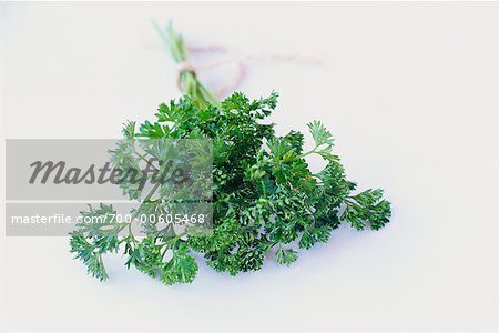 Still Life of Parsley