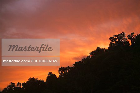 Lever du soleil sur Ilha da Gipoia, Angra dos Reis, Rio de Janeiro, Brésil