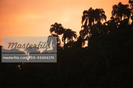 Lever du soleil sur Ilha da Gipoia, Angra dos Reis, Rio de Janeiro, Brésil Lever du soleil sur Ilha da Gipoia, Angra dos Reis, Rio de Janeiro, Brésil