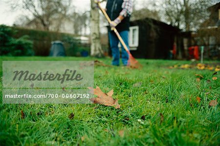 Personne ramasser des feuilles