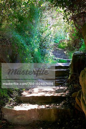 Stone Walkway dans obélisque Bay, Sydney, New South Wales, Australie