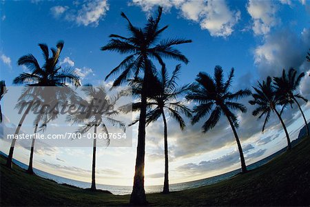 Nanakuli Beach Park at Sunset, Oahu, Hawaii, USA