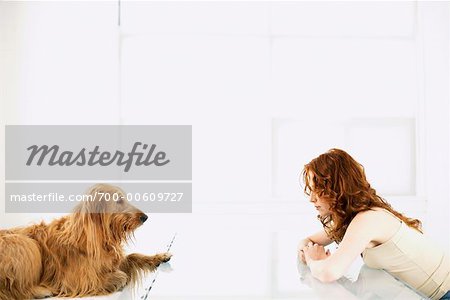 Dog And Woman Looking At Each Other