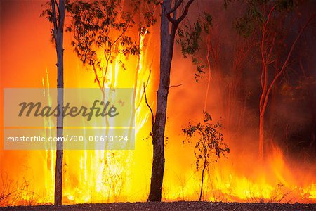 Feu de brousse, Parc National de Litchfield, territoire du Nord, Australie