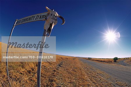 Road Sign and Skull, Kimberley, Western Australia, Australia
