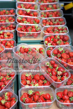 Fraises