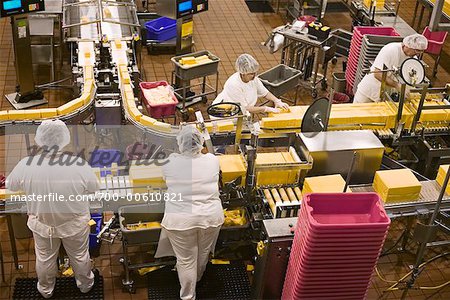 Production Line in Cheese Factory, Tillamook, Oregon, USA