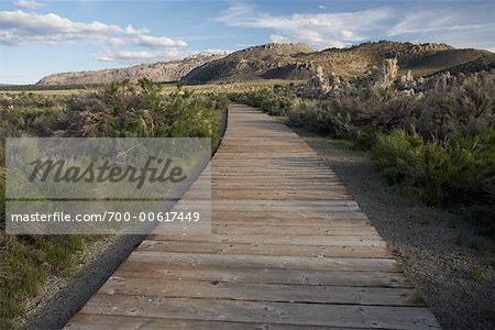 Boardwalk, Mono Lake, California, USA