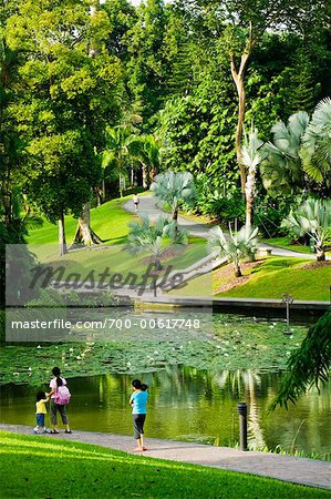 Lac symphonie dans les jardins botaniques de Singapour, Singapour