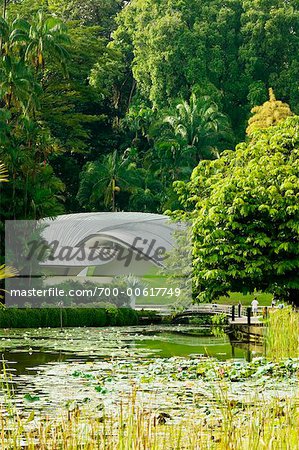 Symphony Lake im Botanischen Garten Singapur, Singapur