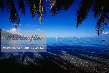 Bateaux à voiles à Opunoho Bay, Tahiti, Moorea, Polynésie française