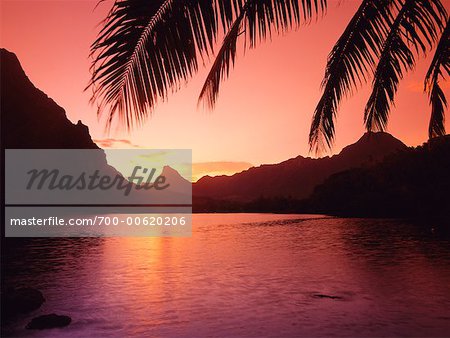 Lever du soleil sur les montagnes et la baie, Mont Mouaputa, la baie de Cook, Moorea, Tahiti, Polynésie française