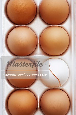 Carton of Eggs