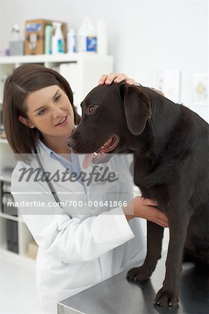 Portrait du vétérinaire