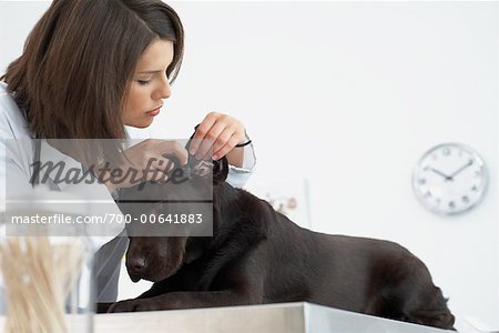 Bureau vétérinaire