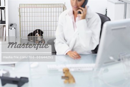 Tierarzt mit Telefon