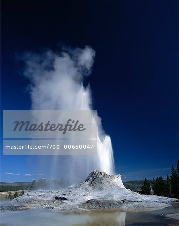 Castle Geyser, Parc National de Yellowstone, Wyoming, USA